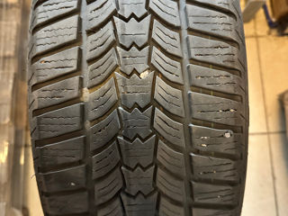 205/55 r16 2buc