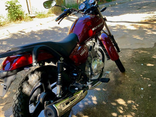 Wolf Motors 150cc foto 3