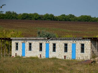 Sector linga padure,traseul Chisinau-Orhei foto 4