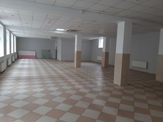 Коммерческая помещение  206m2 foto 2