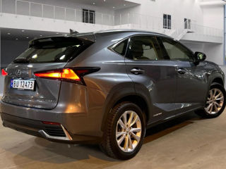 Lexus NX Series foto 3