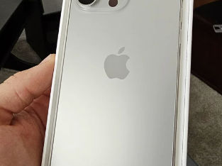 iPhone 15 Pro Max 256 Silver