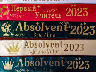 Panglici Absolvent/Выпускник 2024