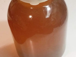 Настойка из пчелиного подмора (хитозан), из прополиса. Мед натуральный. foto 7