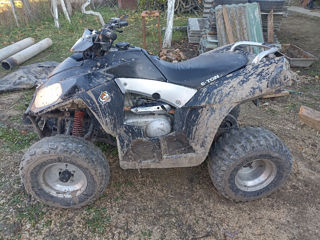 Boss ATV E-ton 250 cm3 foto 3