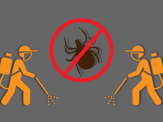 Поможем избавиться от клопов , тараканов , блох , муравьёв , клещей , ос, комаров, мышей, крыс