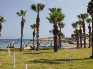 Cyprus! Atlantica Callisto Tourist Village 4*! Din 21.08 - 5 nopti! фото 10