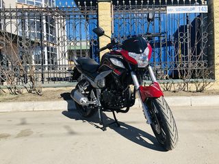 Forte 300cc Livrare gratis foto 9