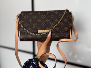 Louis Vuitton foto 6