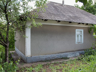Дом  в Сынжерей  Лазовск foto 5