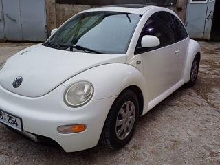 Volkswagen Beetle foto 5