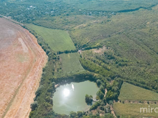 Se vinde teren agricol în or. Vadul lui Vodă! foto 9