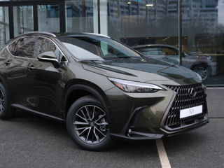 Lexus NX Series