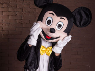 Chirie costume: Miky si Mini Mouse / прокат костюмов Мики и Минни Маус foto 7