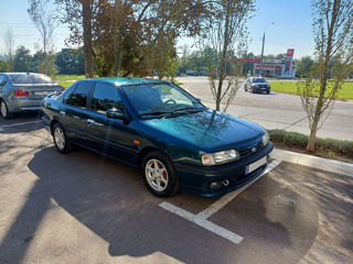 Nissan Primera foto 4