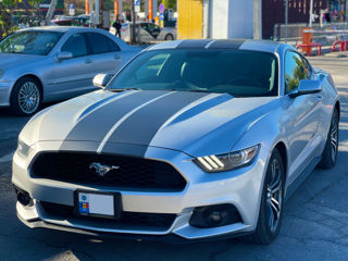 Ford Mustang foto 1