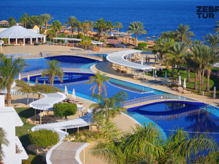 Egipt, Sharm El Sheikh - Monte Carlo Sharm Resort & Spa 5*