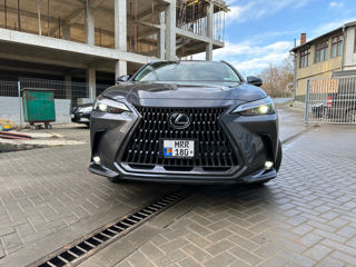 Lexus NX Series