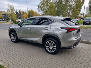 Lexus NX Series foto 8