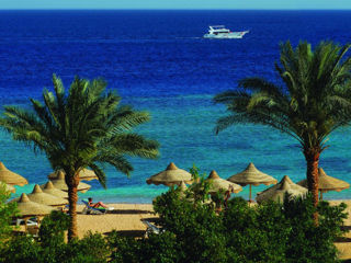 Egypt-Sharm El Sheikh  Hotel 'Baron Resort 5* zbor pe  26 august !de la "Emirat Travel" foto 9