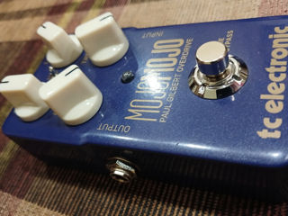 tc electronic Mojo Mojo Paul Gilbert Overdrive