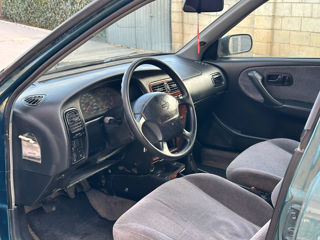 Nissan Primera foto 7