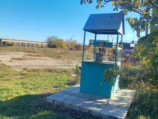 Se vinde spațiu industrial în or. Sângerei, Dobrogea Veche, Moldova foto 2