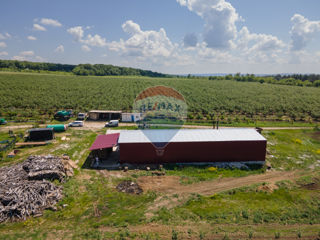 Livadă de prune cu uscătorie si tehnică agricolă foto 1