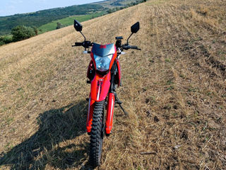 Sonic Enduro foto 2