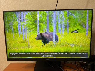 Montor Lg 24 ips 75hz foto 2