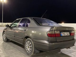 Nissan Primera foto 8