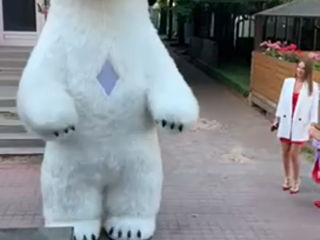 Белые медведи 3,5 и 2,5  м .Ursul . foto 2