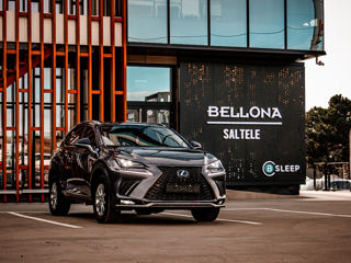 Lexus NX Series foto 1