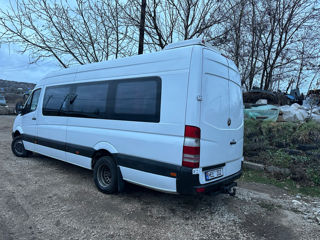 Mercedes Sprinter 516 foto 3