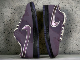 Nike SB dunk Purple Lobster foto 2