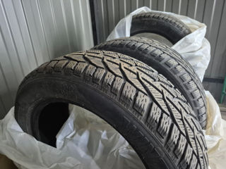 215/55 R17 Iarna (зима) foto 2