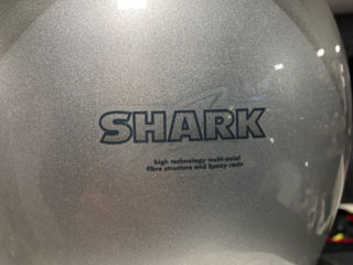 Shark foto 2