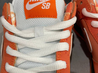 Nike SB Dunk Low Orange Lobster Unisex foto 4