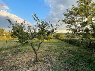 Casa Bilicenii Vechi foto 7