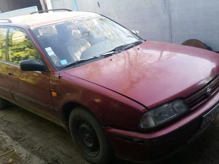 Nissan Primera foto 1