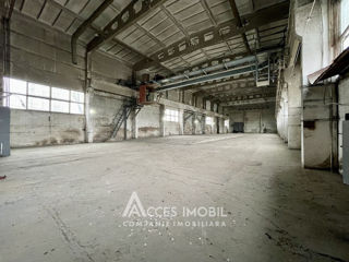 Complex Industrial, 7600m2! Botanica, str. Muncești! foto 9