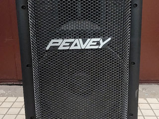 Peavey stadia II b Pasive foto 2