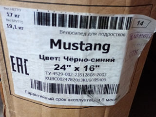 Stels Mustang 24*16 foto 2