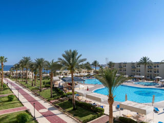 Египет Шарм - Grand Oasis Resort 4*+ -  520 евро - 7 ночей foto 7