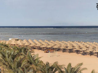 Egipt, Sharm El Sheikh - Jaz Mirabel Club 5* foto 5