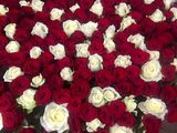 101 trandafiri 700 lei in cutie. Super Oferta foto 4