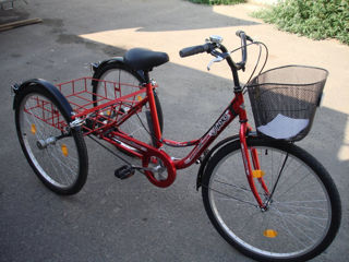 Куплю б/у взрослый 3-х колёсный велосипед. Или два одинаковых 2-х колёсных .
