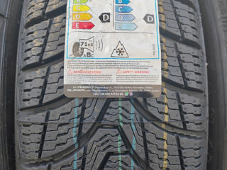 195/65R15 Rosava viamaggiore