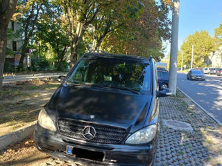 Mercedes Viano foto 8