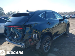 Lexus NX Series foto 8